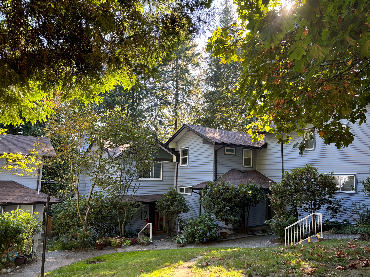 salal townhouses framed by trees